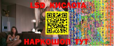 прущие грибы Северобайкальск