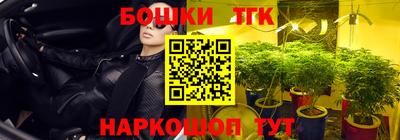 соль ск Рузаевка