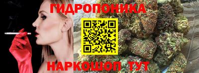 прущие грибы Северобайкальск