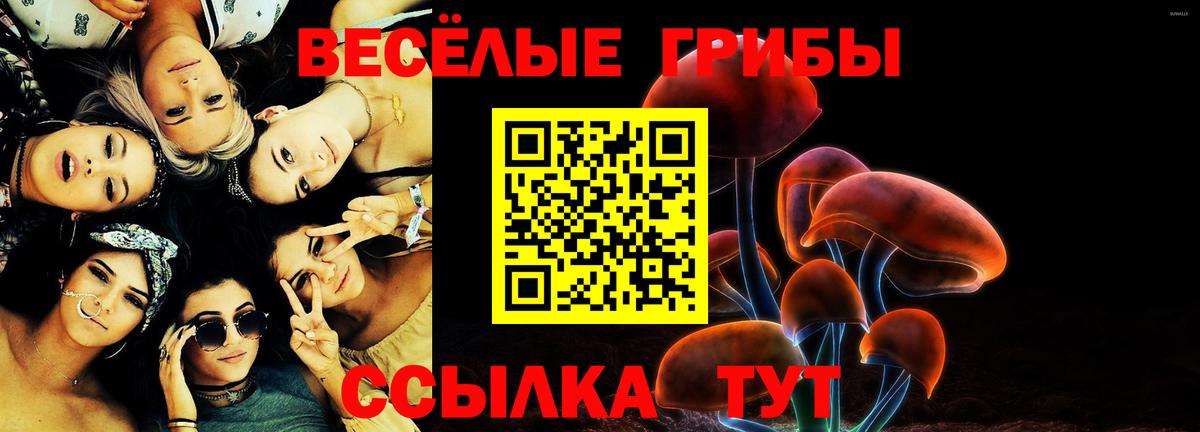 Сорочинск  Псилоцибиновые грибы Psilocybe  Вход с VPN  Галлюциногенные грибы прущие грибы 
